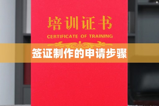 鄂州签证制作的申请步骤